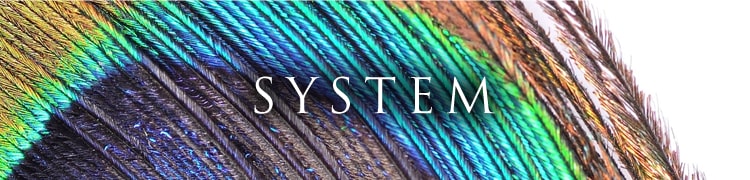 SYSTEM